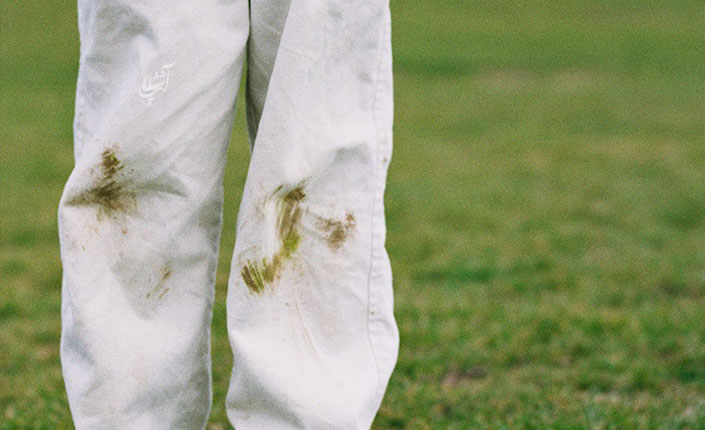 پاک کردن لکه چمن