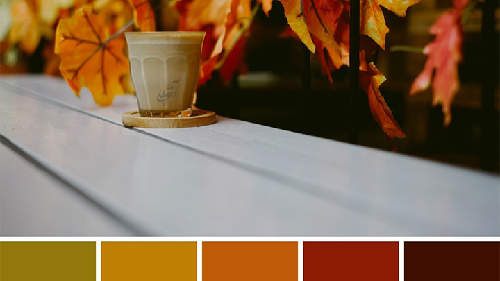 پالت رنگهای پاییزی؛ الهام از طبیعت